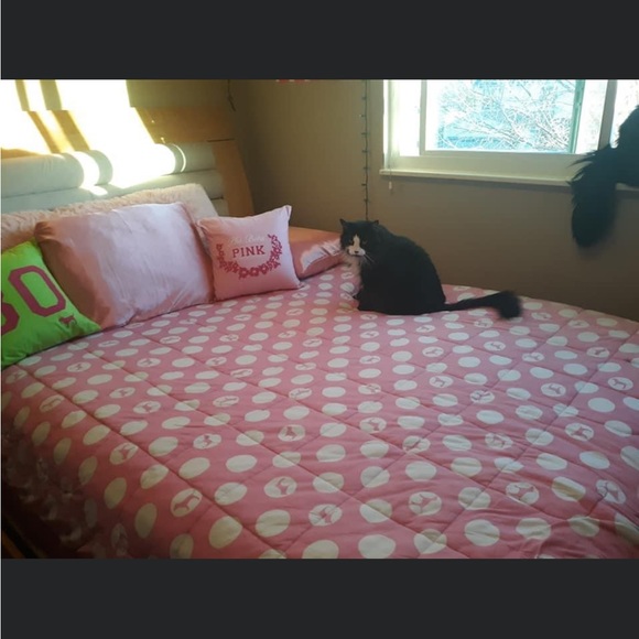 ISO ISO ISO , ? - Picture 15 of 16